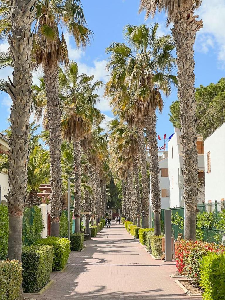 Mediterranea Loft New 拉皮内达 外观 照片